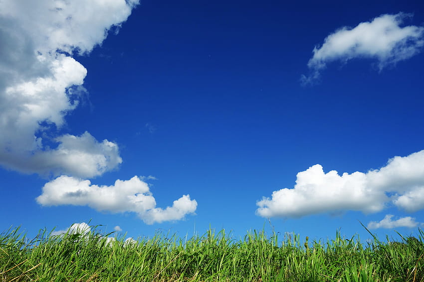 Campo de hierba bajo cielo nublado · Stock, cielo de día de verano fondo de pantalla