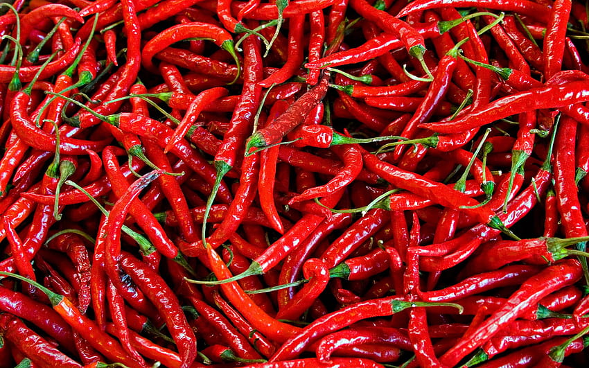 Looking for the hottest chillies? Visit Mumbai's Mirchi Galli | Travel -  Hindustan Times