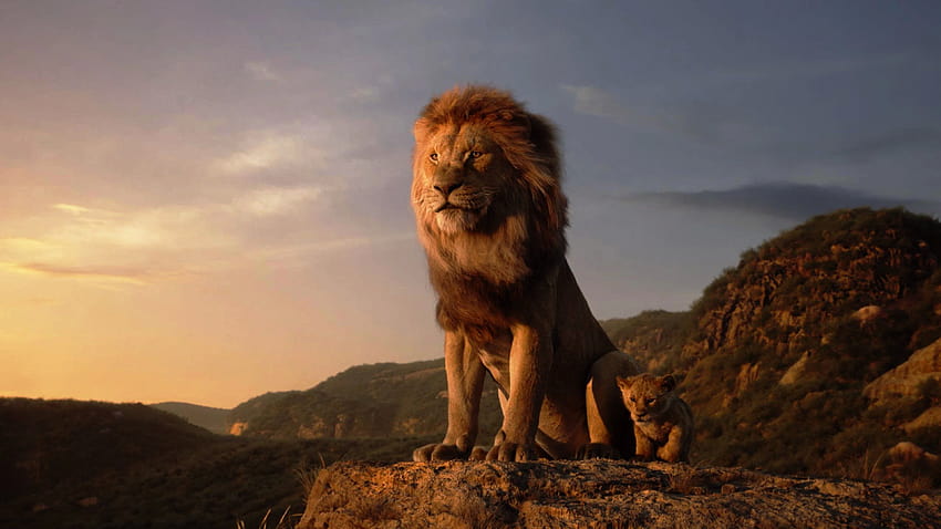 Of Lion, lion aesthetic HD wallpaper | Pxfuel