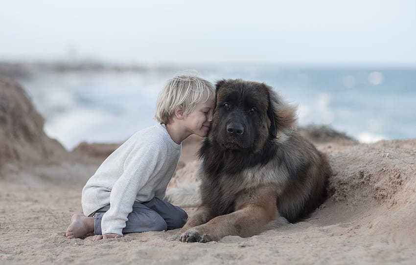 sand, mood, dog, boy, friendship, friends, dog, Leonberger , section настроения HD wallpaper