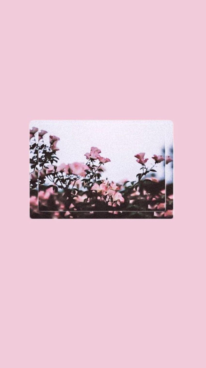 ✅[14 Pink Aesthetic Tumblr Laptop HD phone wallpaper