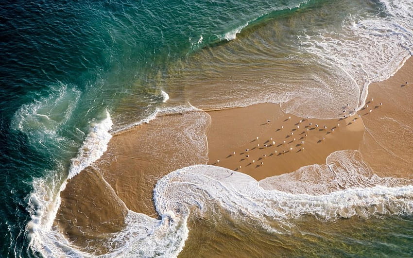 Foamy Ocean Sea Gulls Beach, beach islands aerial view HD wallpaper
