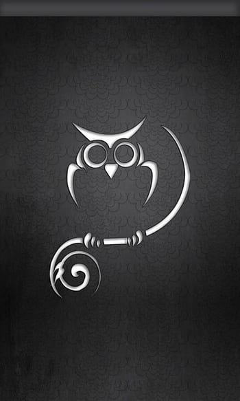 black and white owl wallpaper