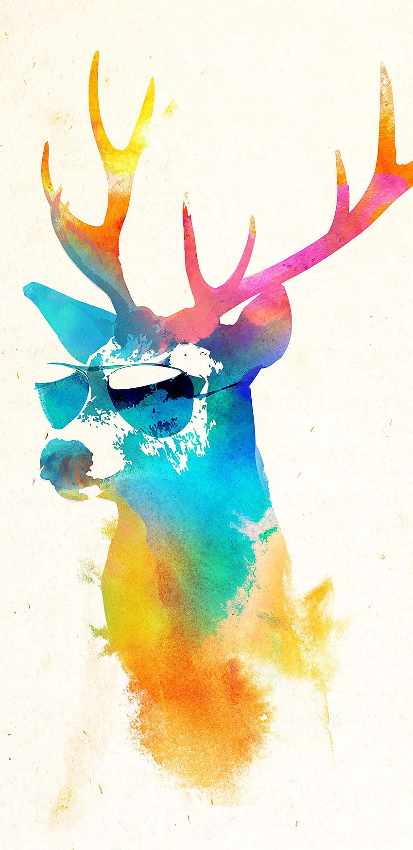 Sunny Stag, deer with glasses HD phone wallpaper