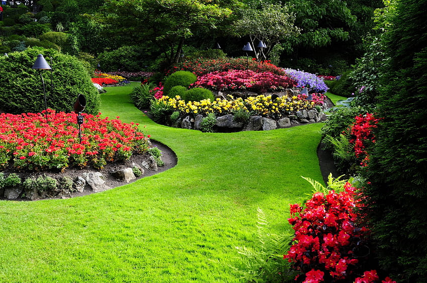 Natura, kwiaty, ogród, kraj /, ogród w tle Tapeta HD