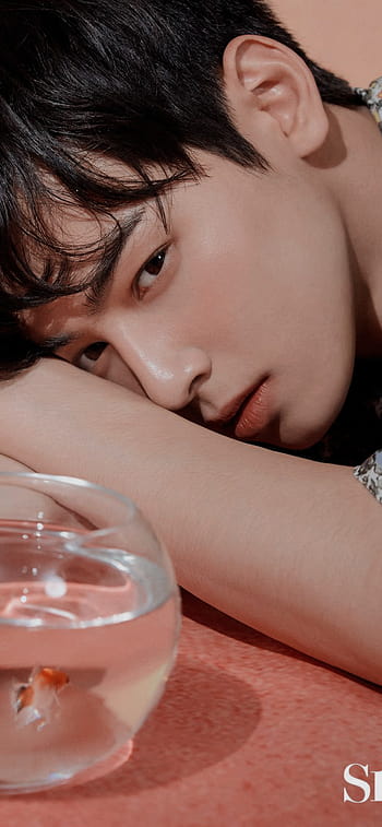 rierie on X: Lee Dong Min, 23, model Cha eun woo wallpaper