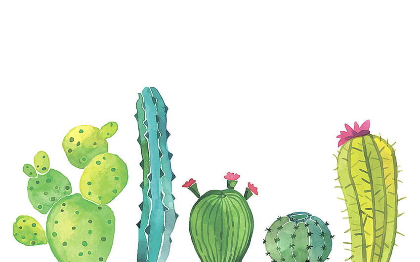 Linda computadora de cactus, cactus de dibujos animados fondo de pantalla |  Pxfuel