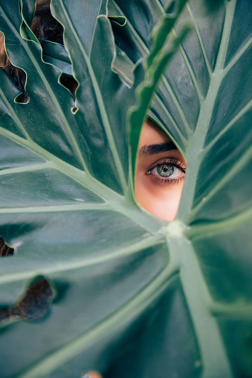 woman peeking over green leaf plant taken at daytime – Beauty, women leaf HD phone wallpaper