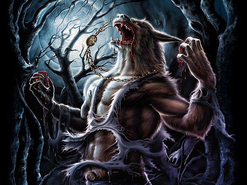 156 Werewolf, werewolf vs vampire HD wallpaper