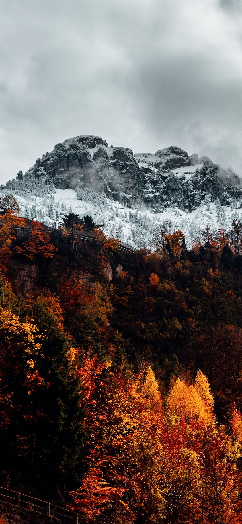 Alpen , Musim gugur, pegunungan, Hutan, Gurun, Lanskap, Swiss, Alam, gunung iphone wallpaper ponsel HD
