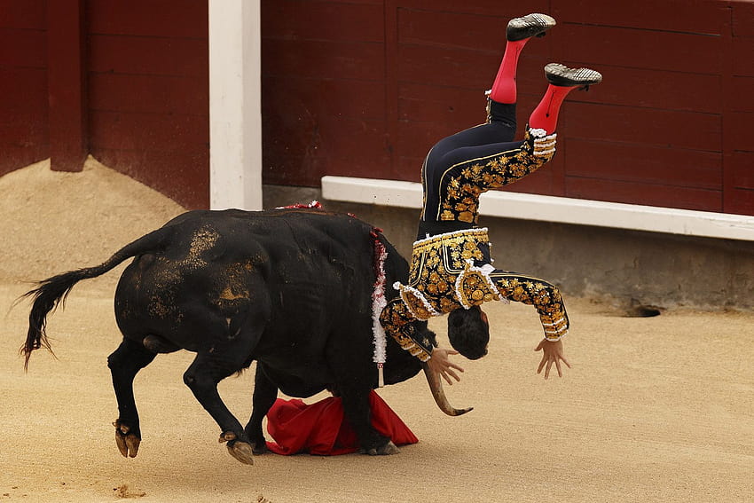 22 Of The Most Powerful Of This Week, spanish style bullfighting HD wallpaper