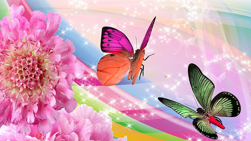 rainbow flowers, flower rainbow HD wallpaper rainbow flowers, flower rainbow HD wallpaper
