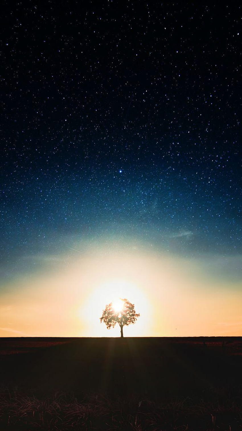 Tree, twilight, starry night, sky, dark, landscape, 720x1280, twilight moon mountains HD phone wallpaper