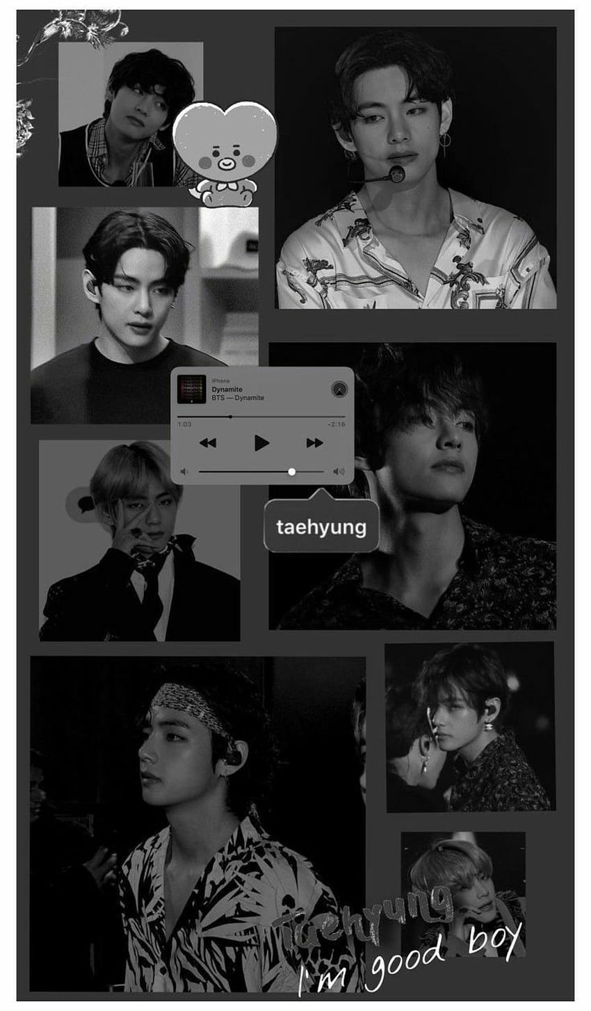 Kim Taehyung Aesthetic posted by John Mercado, taehyung collage HD phone wallpaper