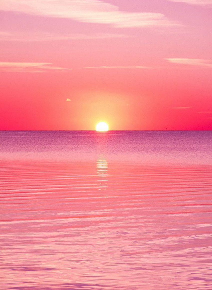 1544 Pink Sunset HD phone wallpaper