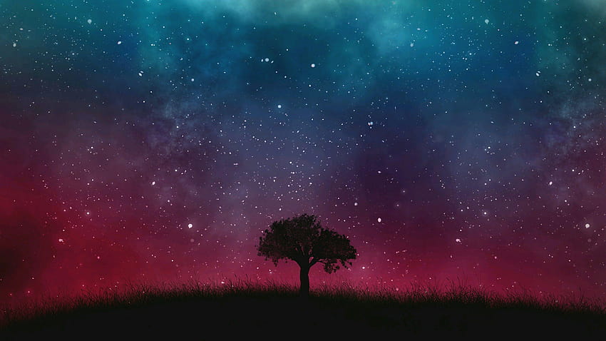 Albero solitario sotto il cielo stellato, fisso in blu Sfondo HD