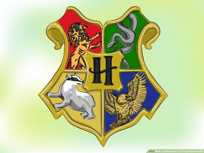 How to Determine Your Harry Potter House: 11 Steps, gryffinpuff HD ...