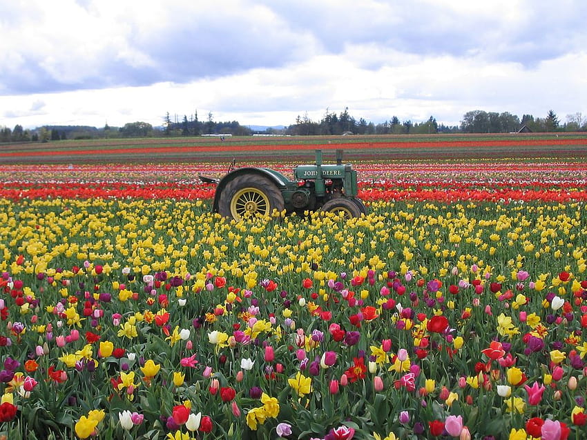 9 Scenic John Deere Flower Field, trattori primaverili Sfondo HD