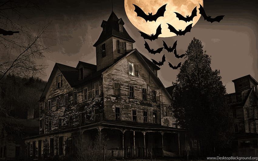 Scary Halloween Backgrounds Gifs Backgrounds, halloween scary laptop HD wallpaper