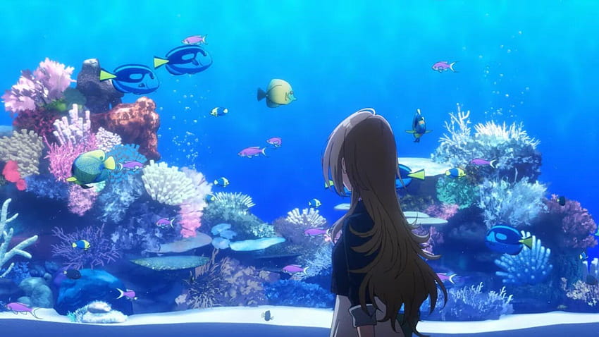 The Aquatope On White Sand Episode 11 Release Date And Where To Watch HD wallpaper
