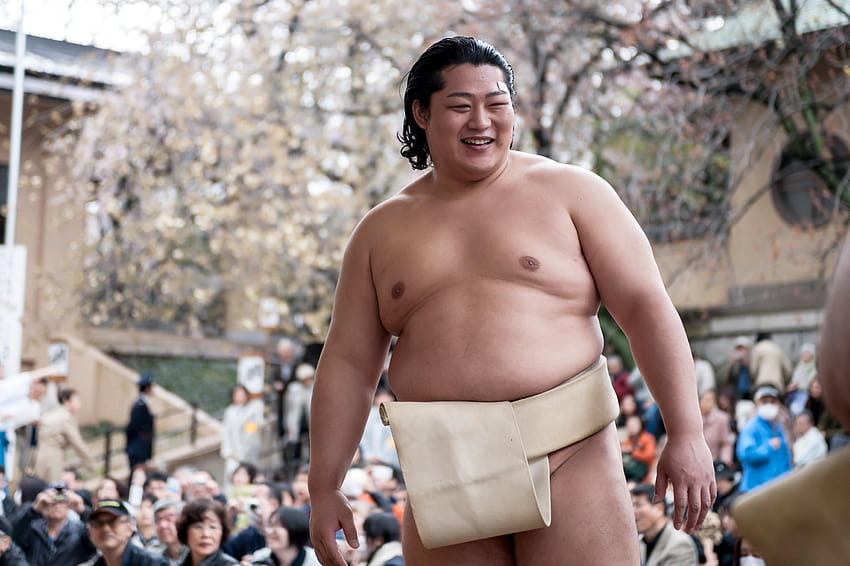 Sumo stables: Secretive world of Japanese wrestling, sumo wrestlers HD wallpaper