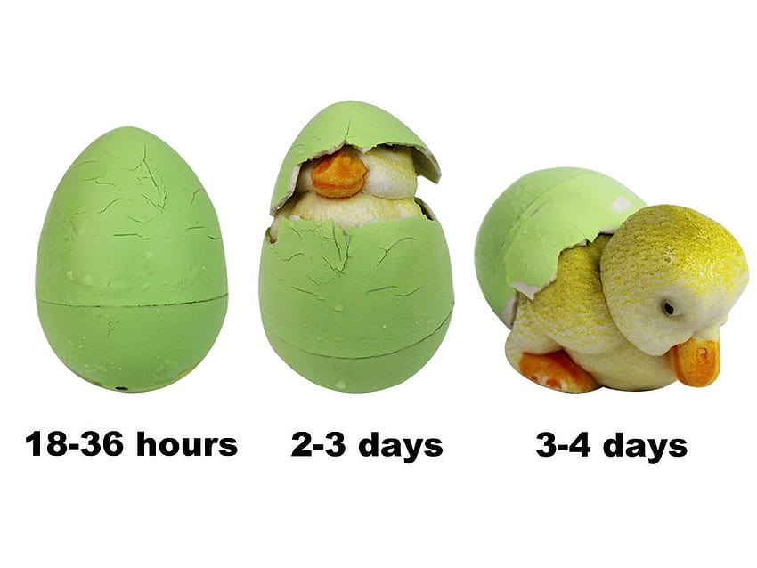 Dad of Divas' Reviews: Make Easter Fun With Hide 'em & Hatch 'em eggs, easter egg hatching HD wallpaper