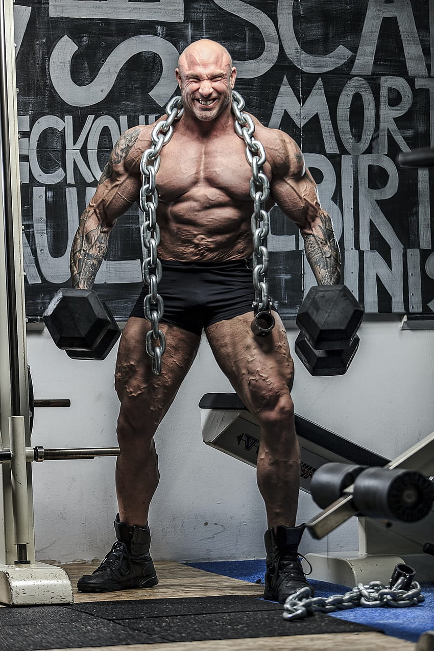 50 Bodybuilder [], gym poster HD phone wallpaper | Pxfuel