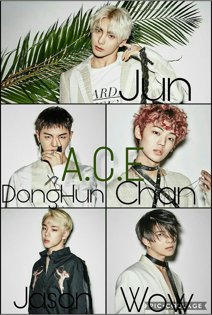 Jun DongHun Chan Jason Wow A.C.E ACE Kpop, ace jason HD phone wallpaper