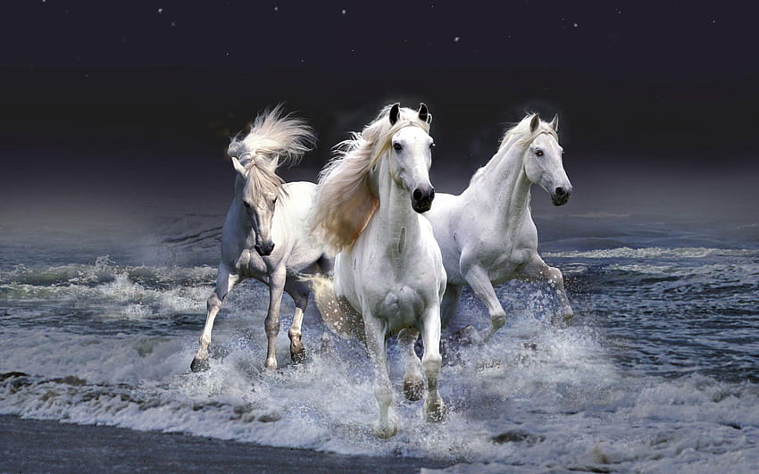 Fantasy Horse Stock Photos and Images  123RF