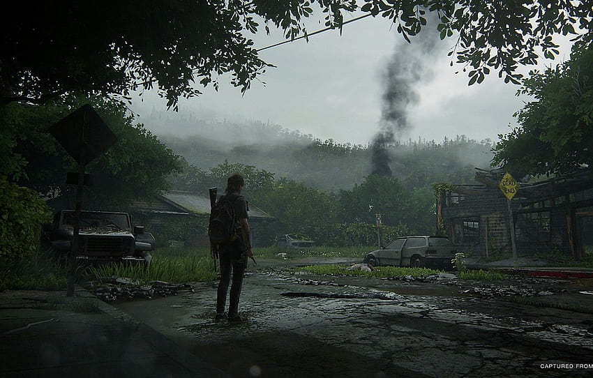 forest, machine, smoke, village, art, Ellie, The Last of, the last of us part 2 HD wallpaper