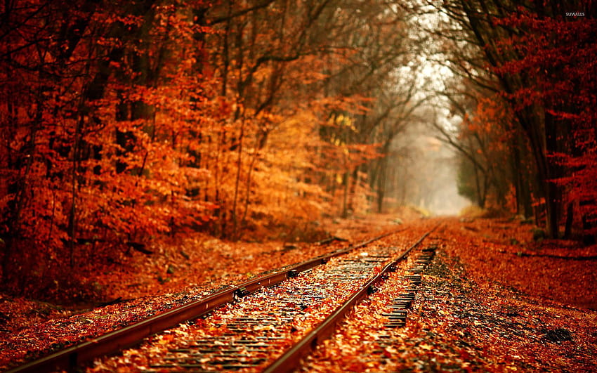 Железница през есента, есенна графика HD тапет