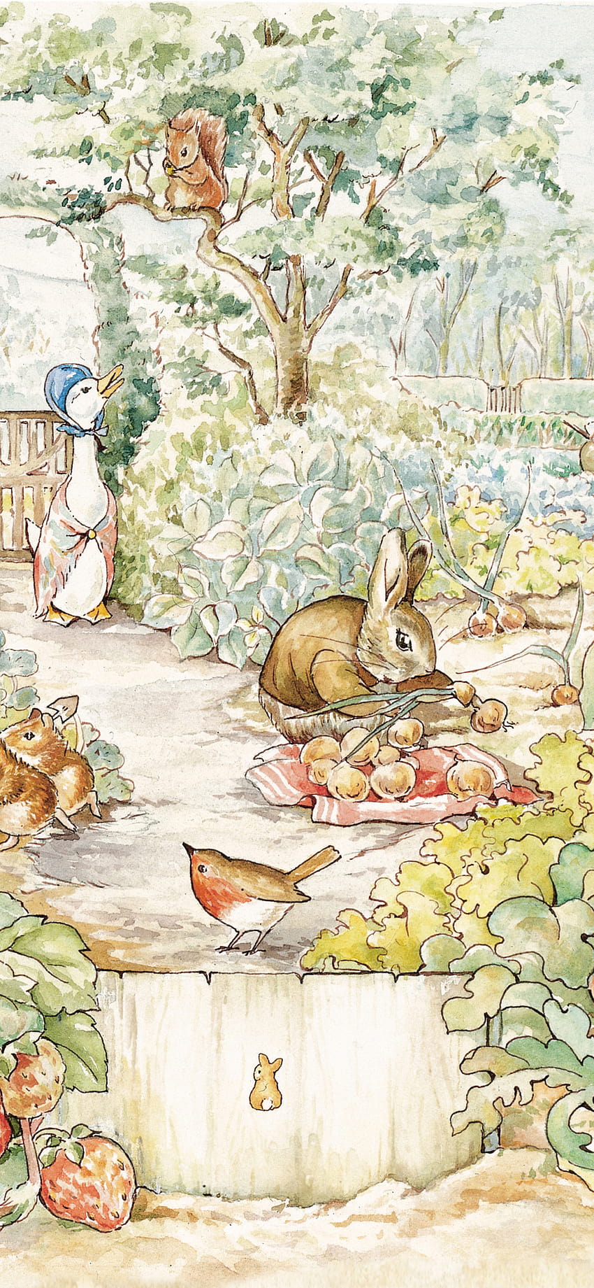 Poster Peter Rabbit Wallpaper Photo Large Print 36x24 Inches Banner  Media Multicolor Fine Art Print  Movies posters in India  Buy art  film design movie music nature and educational paintingswallpapers at