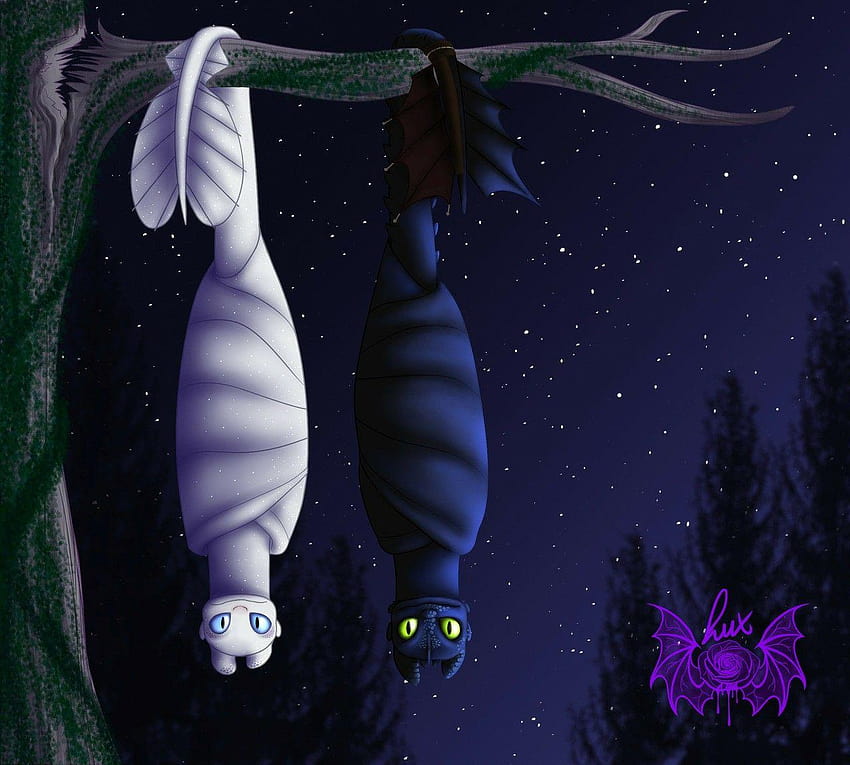 Toothless and the Light Fury. :), lightfury and hiccup HD wallpaper