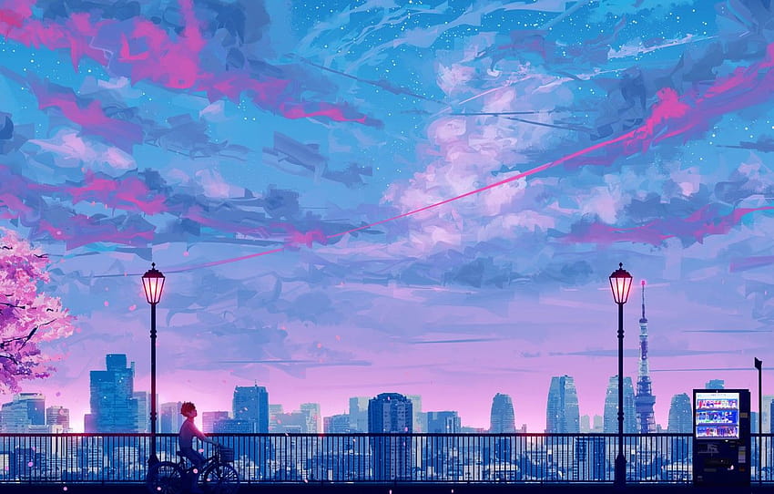 gökyüzü, gün batımı, bisiklet, Sakura, adam, dur, SeerLight tarafından, bölüm арт HD duvar kağıdı