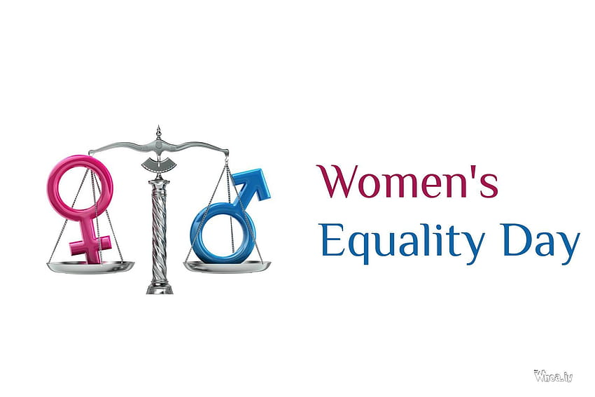Feliz Día de la Igualdad de la Mujer, día de la igualdad de la mujer fondo de pantalla