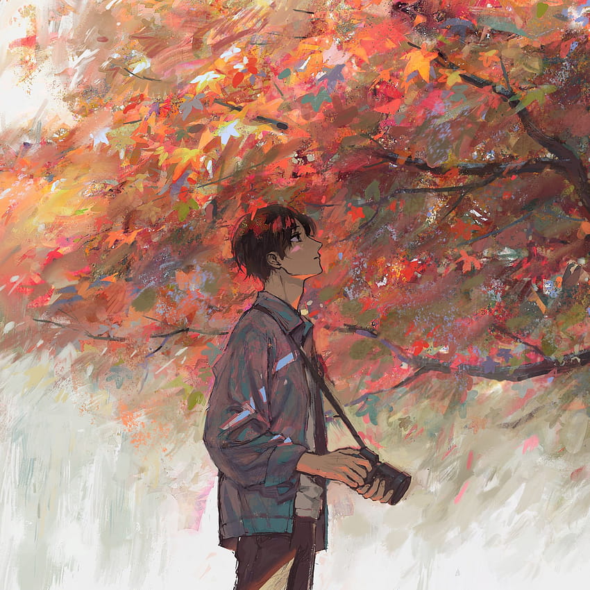 Anime boy, otoño, árbol, obra de arte, 2248x2248, iPad Air, iPad Air 2, iPad 3, iPad 4, iPad mini 2, iPad mini 3, anime de otoño fondo de pantalla del teléfono