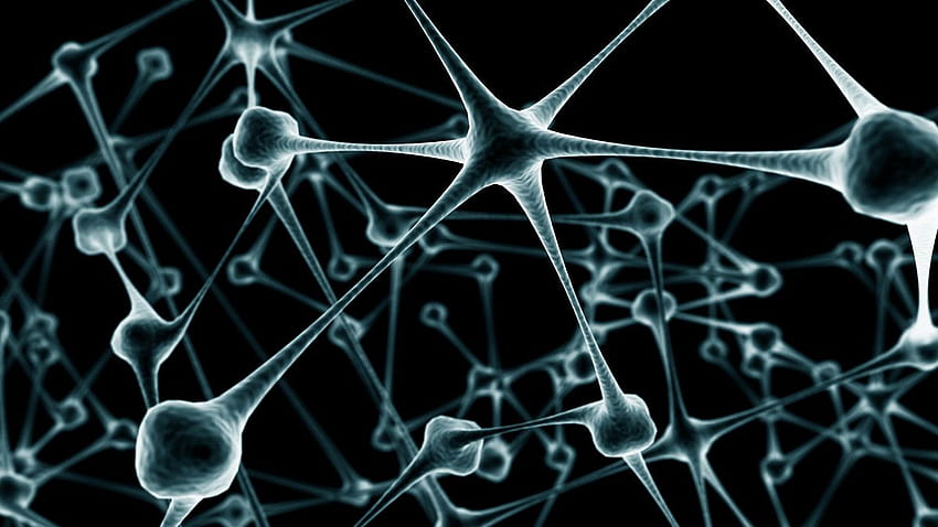 Neural Networks Part 1 Backgrounds Marek Rei HD wallpaper