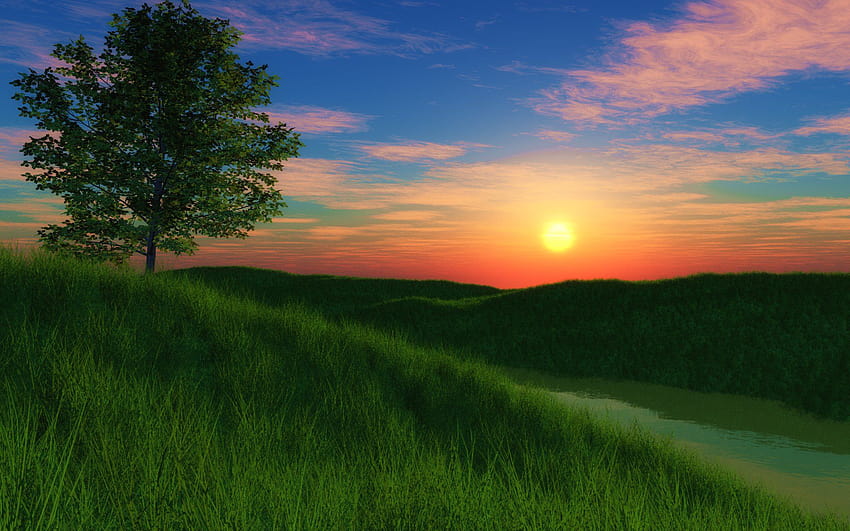 Grassy hill sunset, anime grassy hills HD wallpaper
