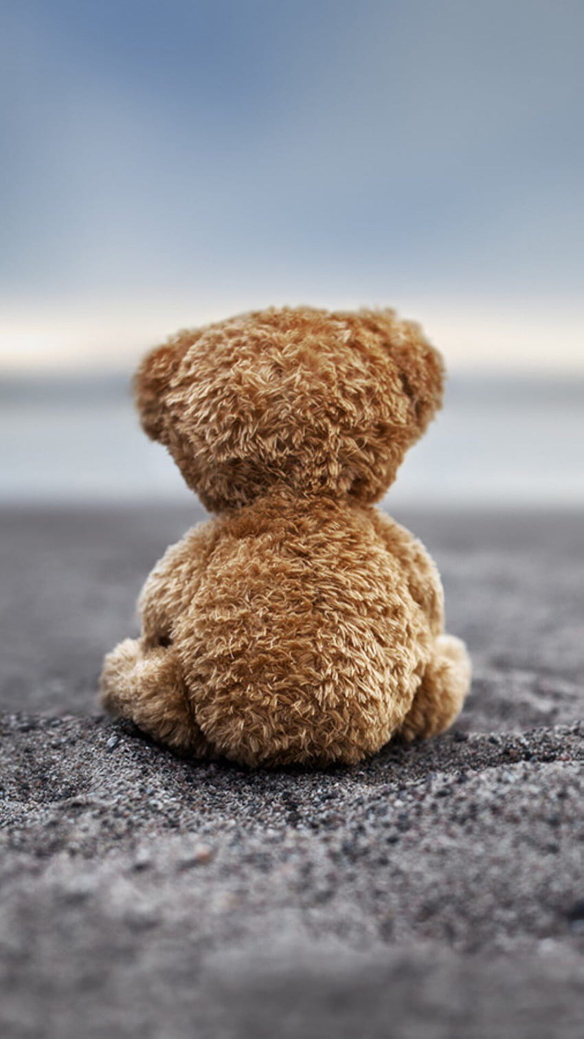Sad Bear, sad teddy bear HD phone wallpaper