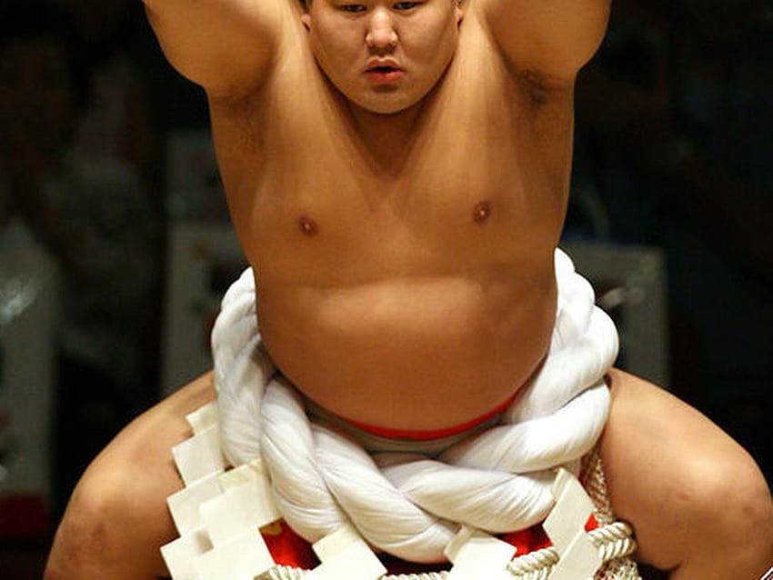 Disgraced Sumo Legend Asashoryu Forms MMA Camp, Will Work, sumo wrestlers HD wallpaper