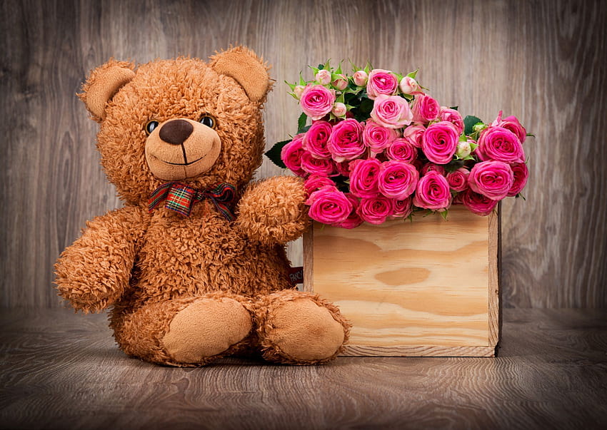 Cute Bear, teddy aesthetic HD wallpaper