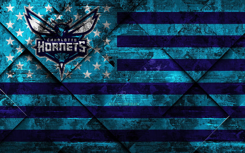 Charlotte Hornets, American HD wallpaper