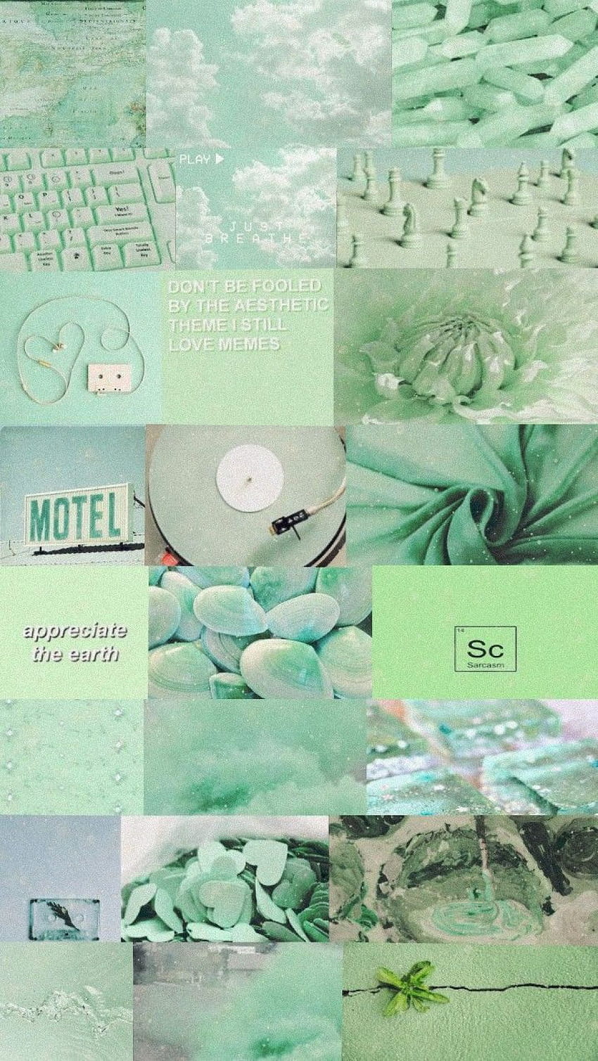 Mintgrün Ästhetisch, grüner Pastell HD-Handy-Hintergrundbild