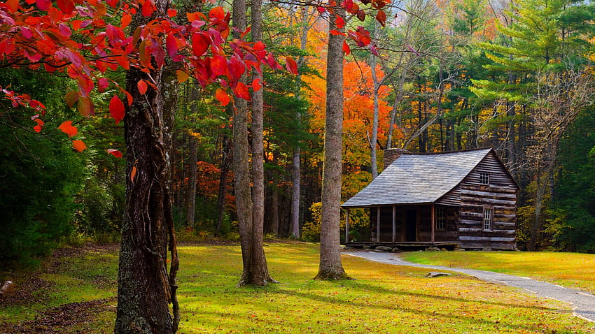Cottage Autumn Trees and Green Grass, autumn cottage HD wallpaper | Pxfuel