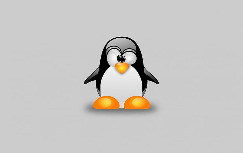Linux Tux Pinguim, tux linux papel de parede HD