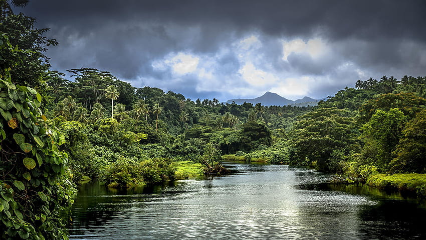 Hutan Alam Samoa Sungai Tropis Awan 2560x1440 Wallpaper HD