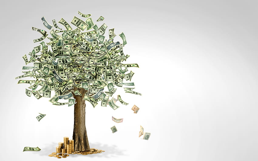 金のなる木、米ドル、ドルの木、お金の成長の概念、投資、金融の概念、解像度 2880 x 1800 のお金。 高品質、 高画質の壁紙