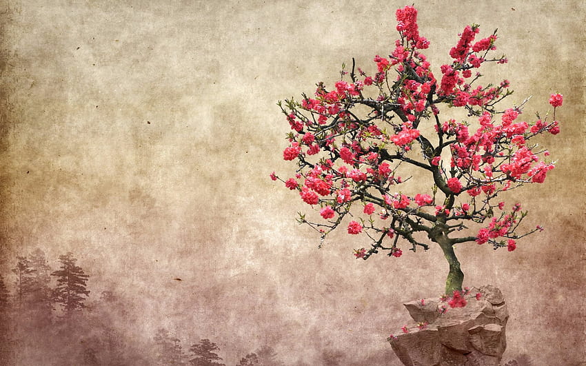 Blühender Baum, Mandelbaum HD-Hintergrundbild