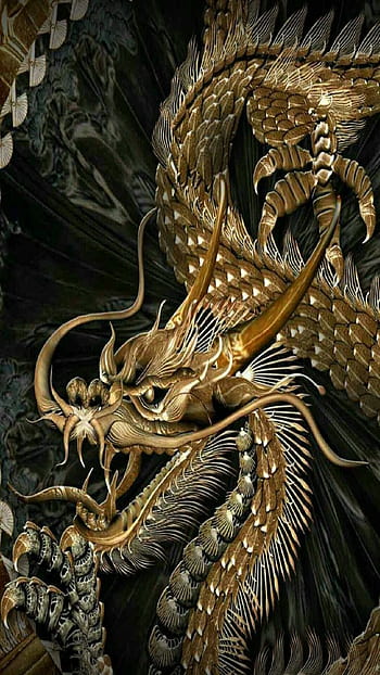 Gold dragon | Dragon artwork, Dragon wallpaper iphone, Dragon pictures