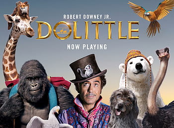 Dolittle HD wallpaper Pxfuel